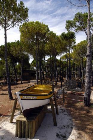 Hotel Quinta Dos Moinhos De Sao Filipe à Setúbal Extérieur photo